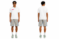 XPRT POLO
